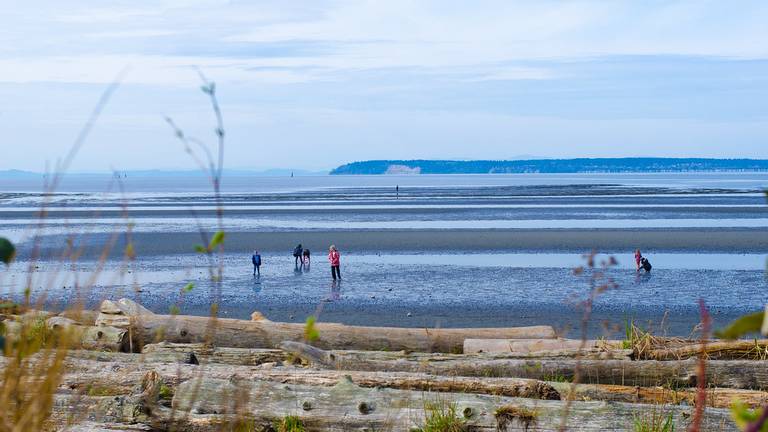 crescent-beach-sooke-british-columbia beach