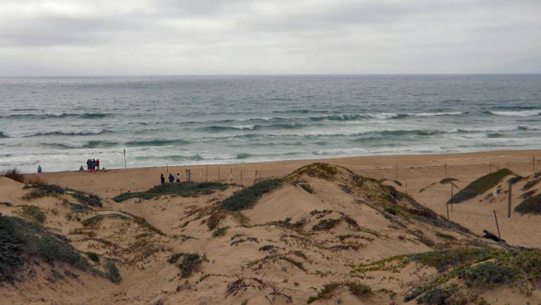 dunes-beach-half-moon-bay-california beach