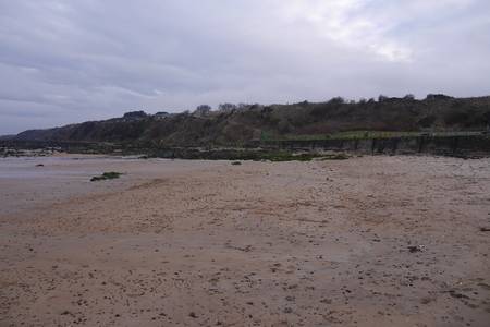 east-sands-st-andrews-scotland beach