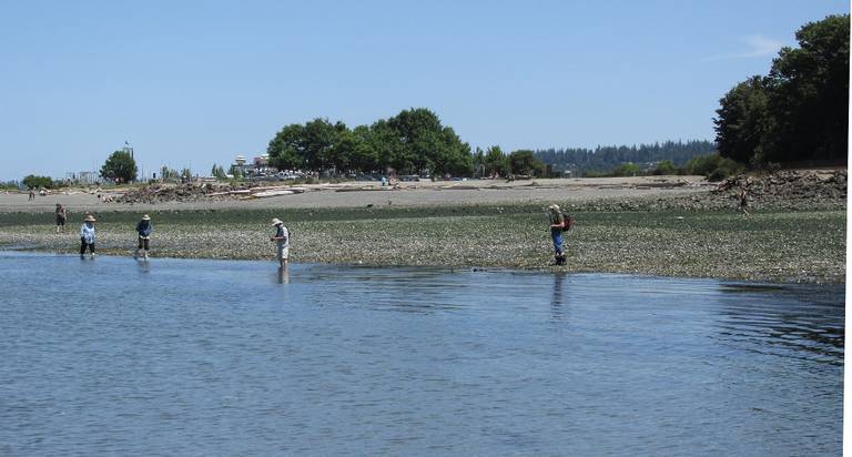 edmonds-beach-edmonds-washington beach