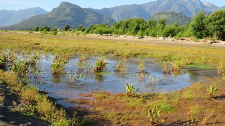 el-arenal-lago-ranco-los-r%C3%ADos-region beach