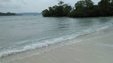 elephant-beach-path-to-elephant-beach-andaman-and-nicobar-islands beach