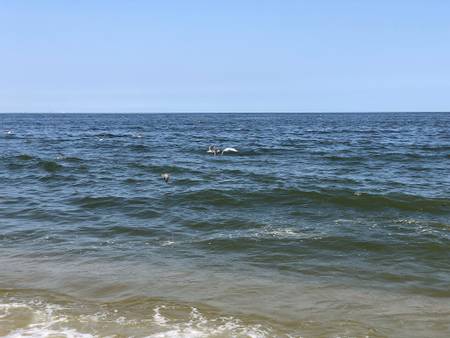 fishing-beach-monmouth-county-new-jersey beach