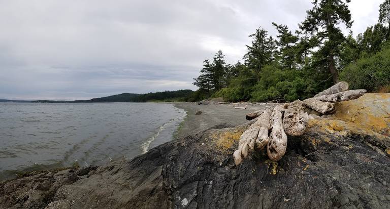 fourth-of-july-beach-san-juan-county-washington beach