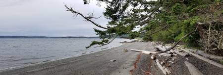 fourth-of-july-beach-san-juan-county-washington beach