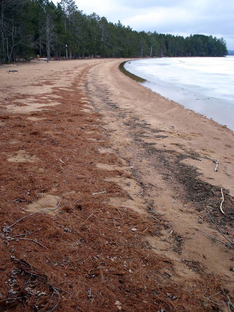 foy-beach-killaloe-hagarty-and-richards-ontario beach