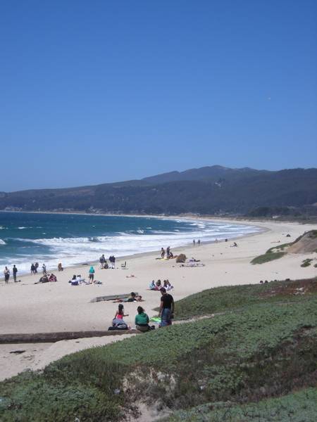 francis-beach-half-moon-bay-california beach