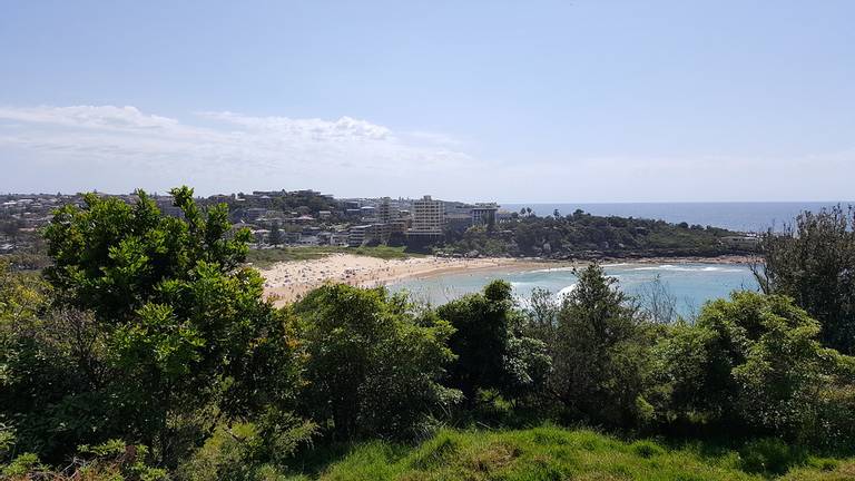 freshwater-beach-freshwater-new-south-wales beach