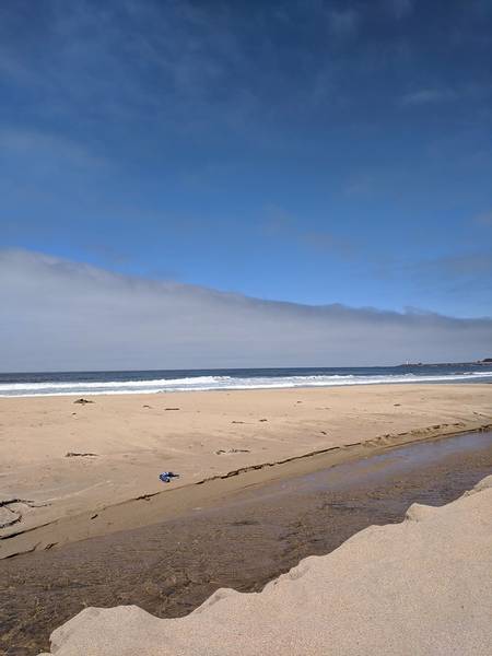 gazos-creek-state-beach-pescadero-california beach