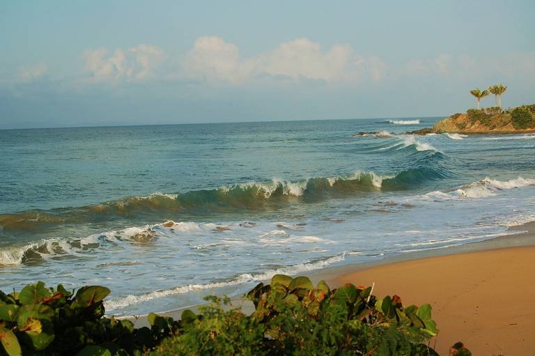 gringo-beach-florida-vieques-puerto-rico-vieques beach