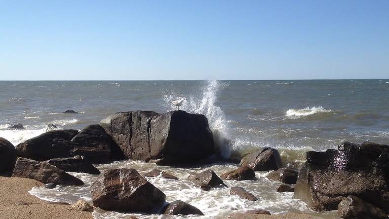 hammonasset-beach-madison-connecticut beach