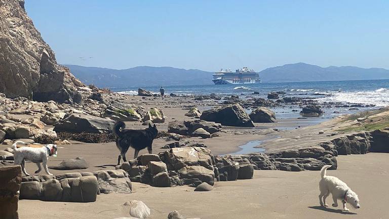 hendrys-beach-santa-barbara-california beach