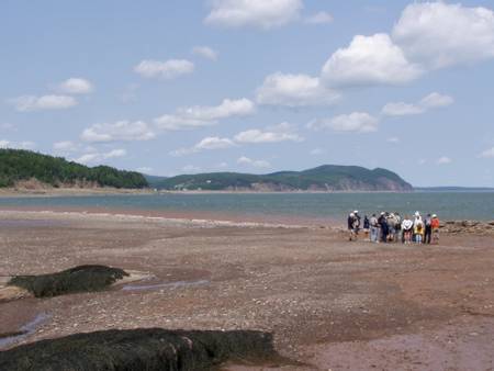 herring-cove-beach-campobello-island-new-brunswick beach