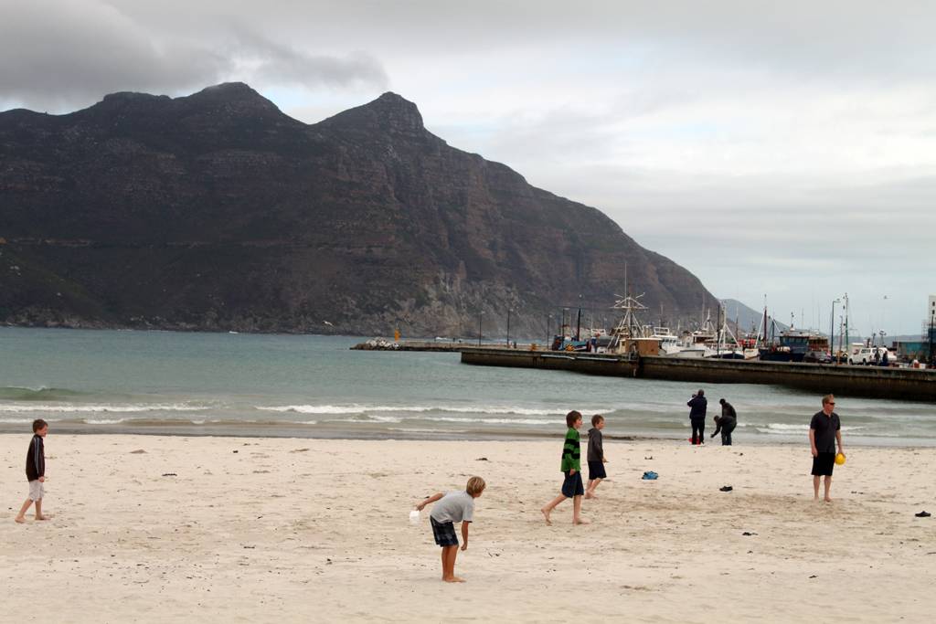 Hout Bay Beach - 2023 Guide (with Photos) | Best beaches to visit in ...