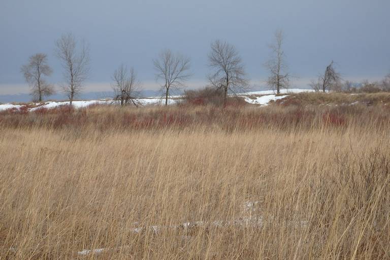 illinois-beach-state-park-lake-county-illinois beach