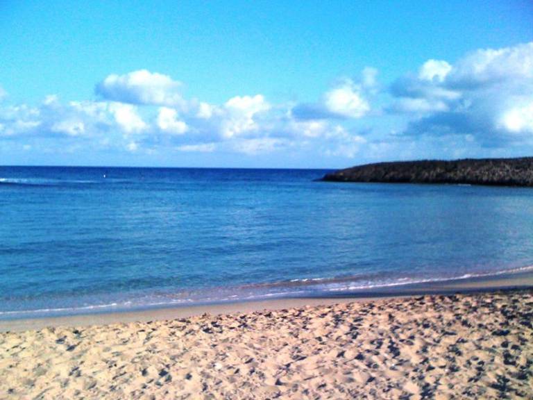 jobos-jobos-isabela-puerto-rico-isabela beach