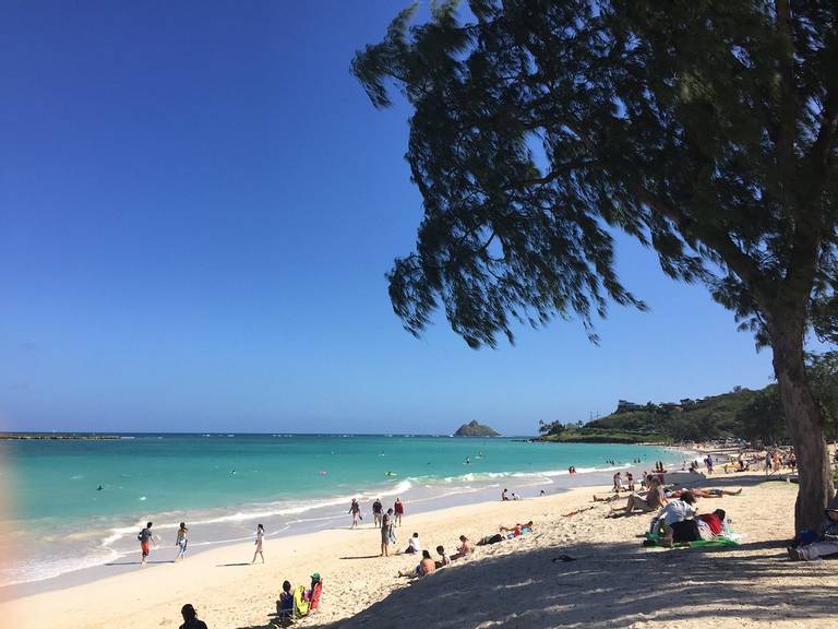 kailua-beach-kailua-hawaii beach