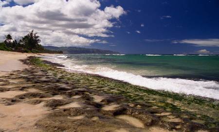 kawailoa-beach-koloa-hawaii beach