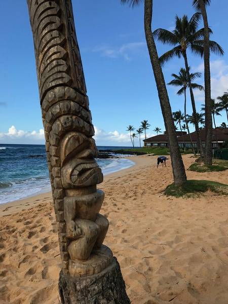kiahuna-beach-koloa-hawaii beach