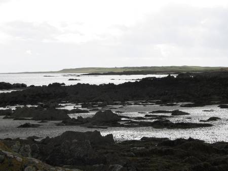 kilclief-beach-kilclief-northern-ireland beach