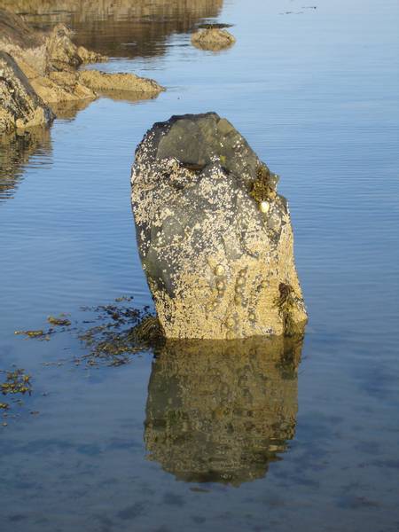 kilclief-beach-kilclief-northern-ireland beach