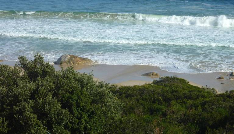 kogel-bay-cape-town-ward-100-western-cape beach