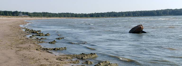 koiraranta-pori beach