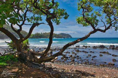 koki-beach-hanalei-hawaii beach