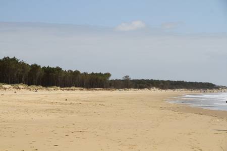 la-grande-cote-saint-palais-sur-mer-nouvelle-aquitaine beach