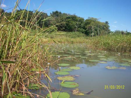 lagoa-formosa-goi%C3%A1s beach