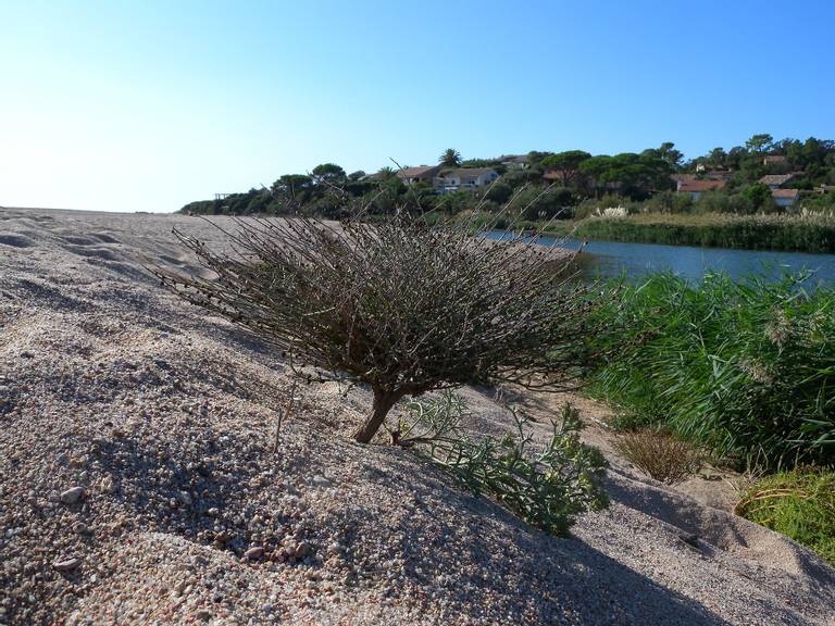 lavu-santu-cavallone-corsica beach