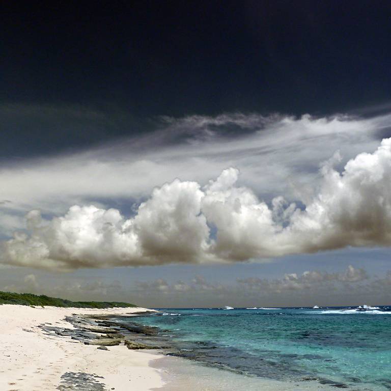 les-salines-saint-francois-grande-terre beach