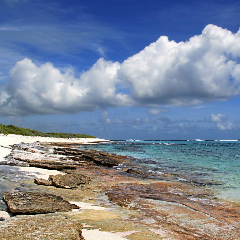 les-salines-saint-francois-grande-terre beach