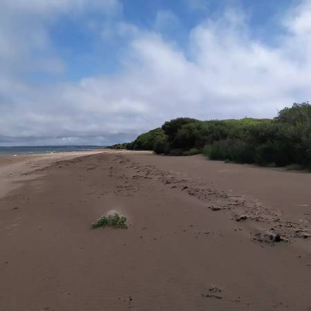 littor-strand-county-kerry beach