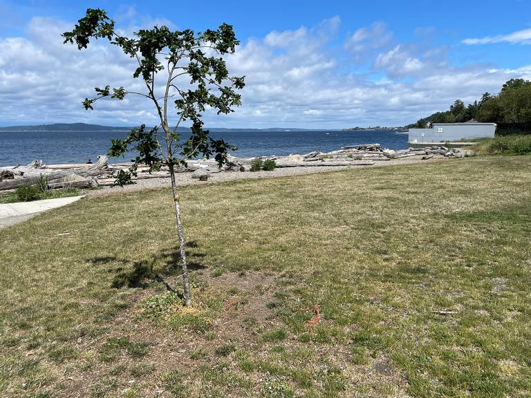 lowman-beach-seattle-washington beach