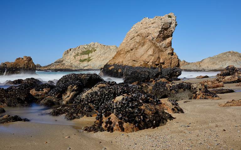 mcclures-beach-dillon-beach-california beach
