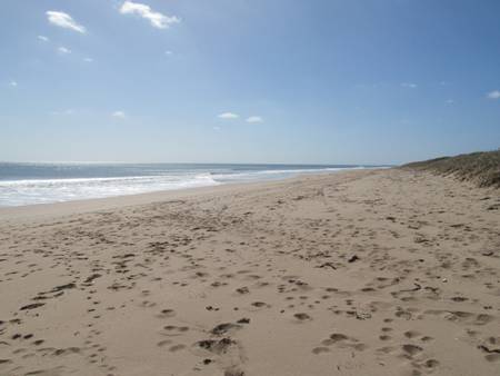 madora-beach-madora-bay-western-australia beach