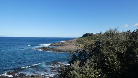 maloneys-shell-cove-new-south-wales beach