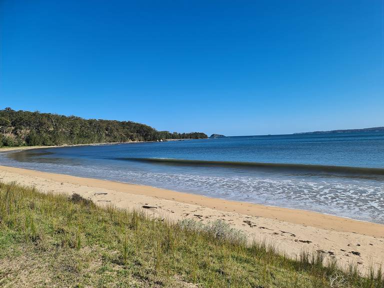 maloneys-shell-cove-new-south-wales beach