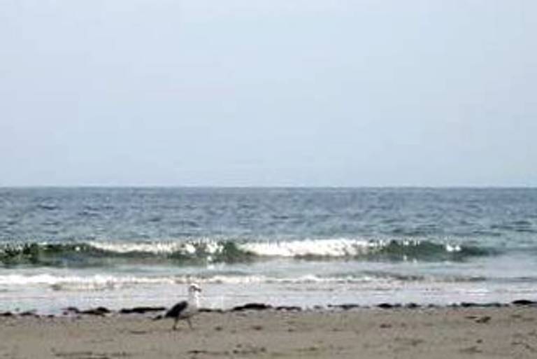 mothers-beach-kennebunk-maine beach