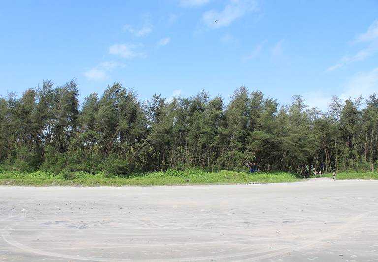 muzhappilangad-beach-kannur beach