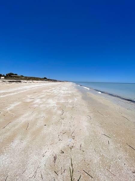 nanga-bay-wa-shark-bay-western-australia beach