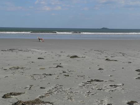 nahant-beach-nahant-massachusetts beach