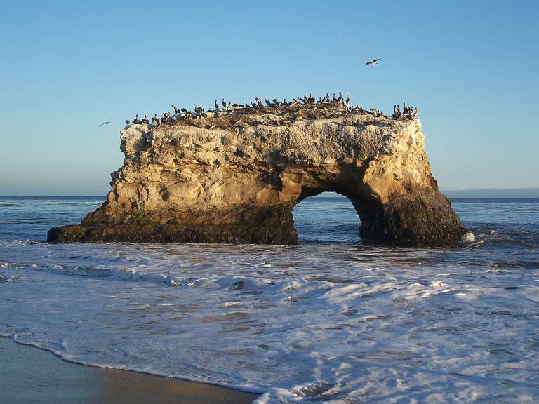 natural-bridges-state-beach-santa-cruz-california beach