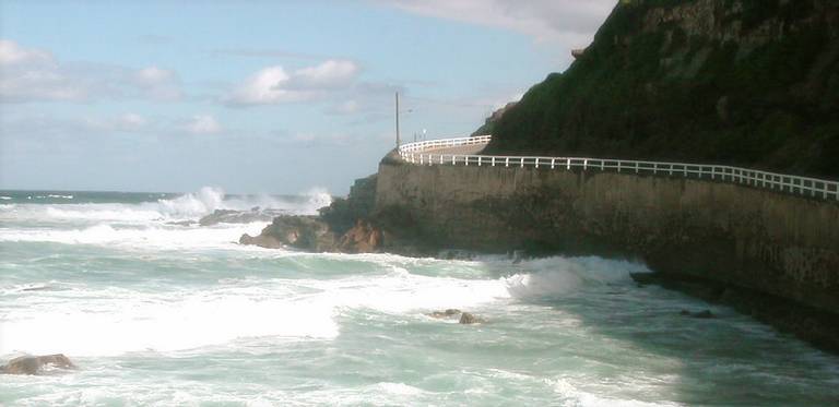 newcastle-beach-newcastle-new-south-wales beach