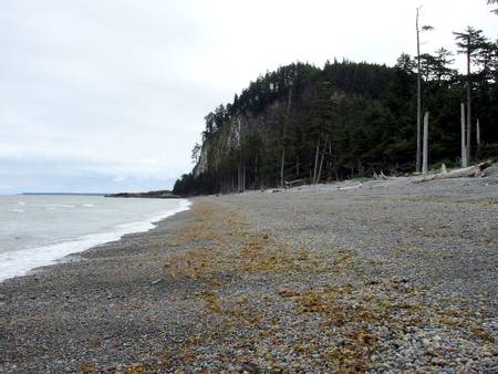 north-beach-saanich-british-columbia beach