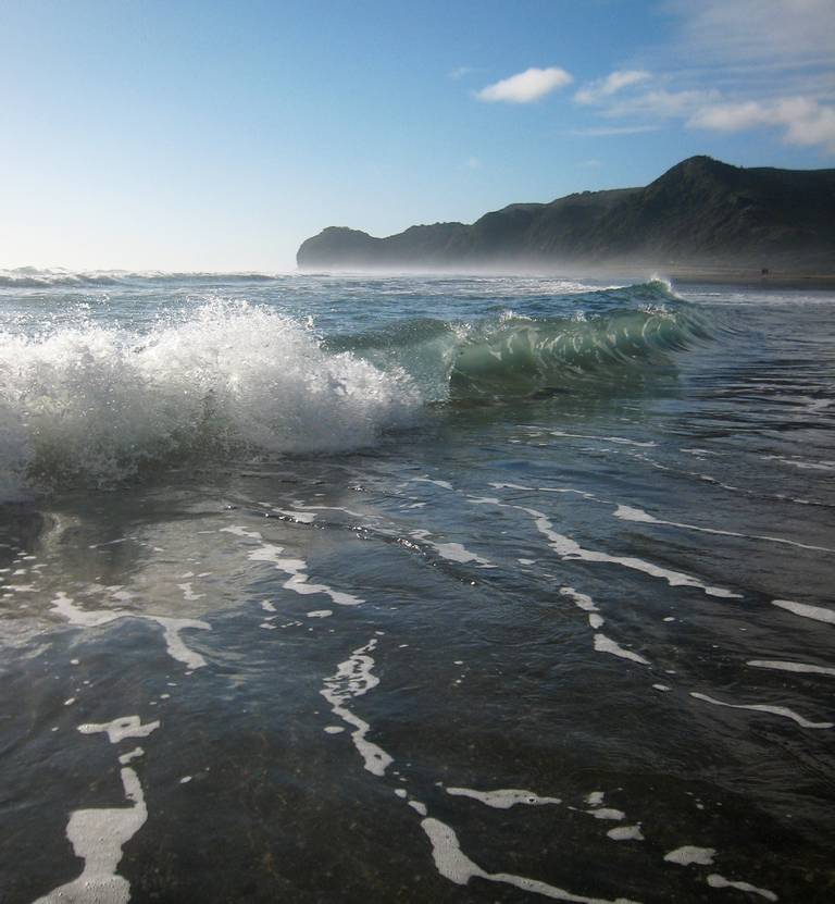 north-piha-beach-waitakere-ranges-auckland beach