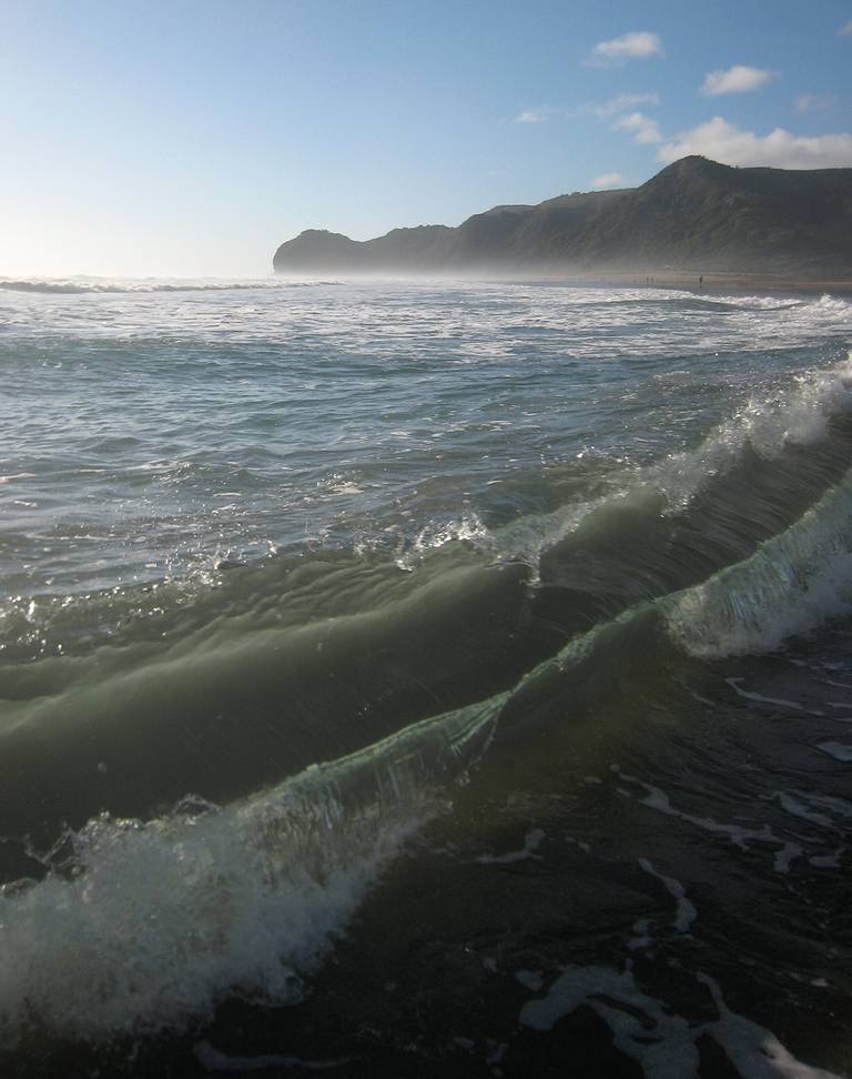 north-piha-beach-waitakere-ranges-auckland beach