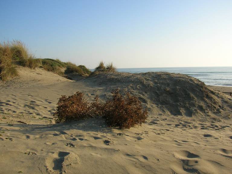 oasi-naturista-di-capocotta-rome-lazio beach