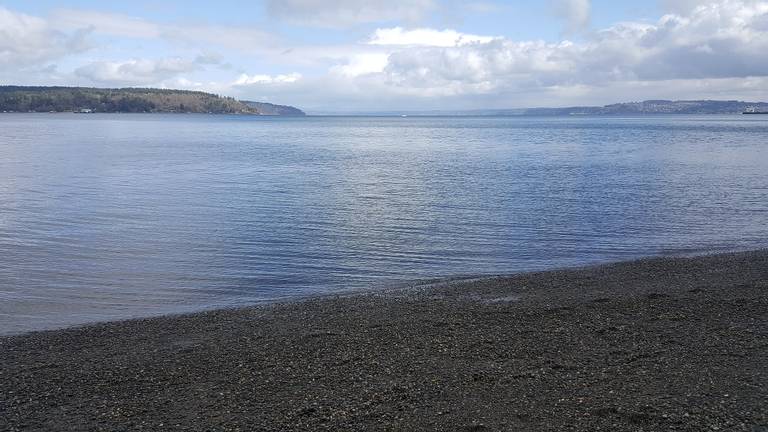 owen-beach-tacoma-washington beach